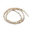 Natural Freshwater Shell Beads Strands SSHEL-B002-17-2