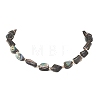 Natural Abalone Shell/Paua Shell Nuggets Beaded Necklaces NJEW-JN05972-2