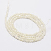 Natural White Shell Beads G-N0190-11-2mm-3