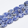 Natural Blue Spot Jasper Beads Strands G-T122-04M-1