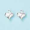 304 Stainless Steel Charms STAS-I138-11A-S-3