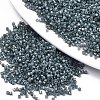 11/0 Grade A Glass Seed Beads SEED-S030-1150-1