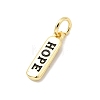 Brass Enamel Charms KK-P338-01G-E01-2