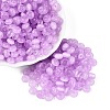 FGB Grade A Drawbench Style Glass Seed Beads SEED-Q040-02A-09-2