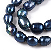 Natural Cultured Freshwater Pearl Beads Strands PEAR-N012-08L-01-4