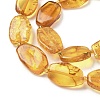 Natural Amber Beads Strands G-L095-C01-05-4