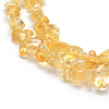 Natural Citrine Beads Strands G-P332-51-4