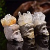 Natural Quartz Crystal Skull Display Decorations PW-WG44ED8-01-4