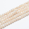 Natural Cultured Freshwater Pearl Beads Strands PEAR-L001-F-08-6