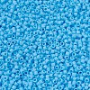 MIYUKI Delica Beads SEED-JP0008-DB0879-3