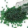 TOHO 8/0 Round Beads SEED-XTR08-0167B-1