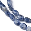 Natural Blue Spot Jasper Bead Strands G-Z006-A01-2