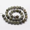 Natural Labradorite Bead Strands G-O155-05A-4mm-2