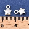 Alloy Pendants FIND-H063-01A-S-3