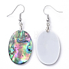 Abalone Shell/Paua Shell Dangle Earrings EJEW-K081-02C-2