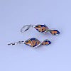 Alloy Enamel Hoop Earrings FS-WGD1429-01-4
