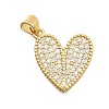 Brass Micro Pave Cubic Zirconia Pendants X-KK-C087-19G-1