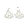 925 Sterling Silver Charms STER-A050-04C-S-1