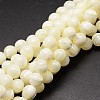 Shell Beads Strands SSHEL-E571-39-3mm-1