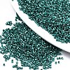 FGB 11/0 Grade A Glass Seed Beads X-SEED-S030-1216-1