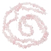 3 Strand Natural Rose Quartz Chip Bead Strands G-BC0001-23-1