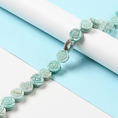 Natural Amazonite Beads Strands G-D475-01A-1