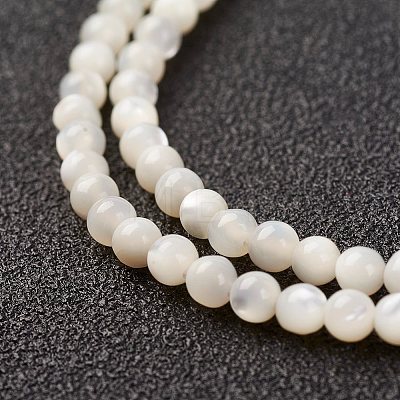Natural White Shell Beads Strands X-G-G680-54-1