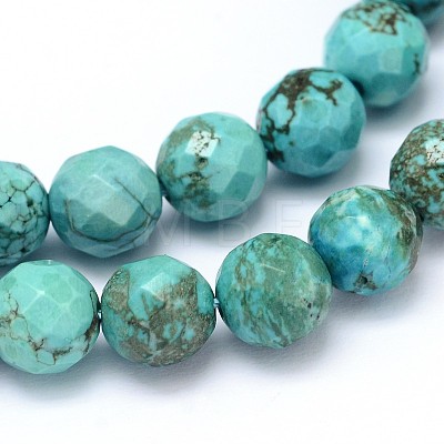 Natural Howlite Beads Strands TURQ-P027-42-1