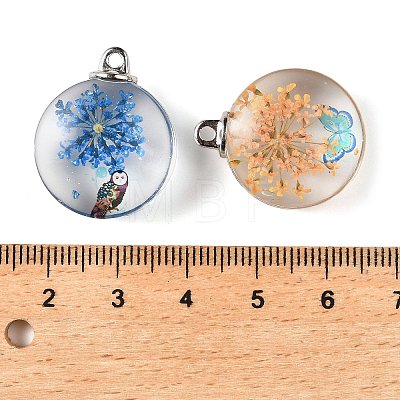 Transparent Glass Pendants GLAA-M048-06-1