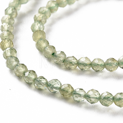 Natural Apatite Beads Strands G-S362-108A-1