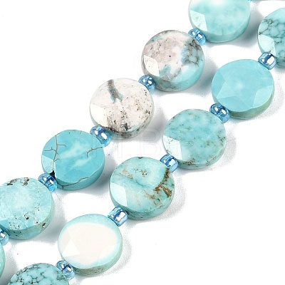 Dyed Natural Howlite Beads Strands G-C116-A63-01-1