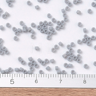 MIYUKI Delica Beads SEED-JP0008-DB1589-1