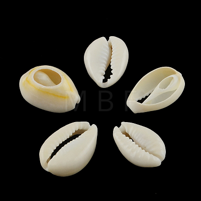 Natural Mixed Cowrie Shell Beads X-BSHE-S051-01-1