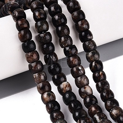 Natural Biotite Beads Strands G-Q616-02A-11-1