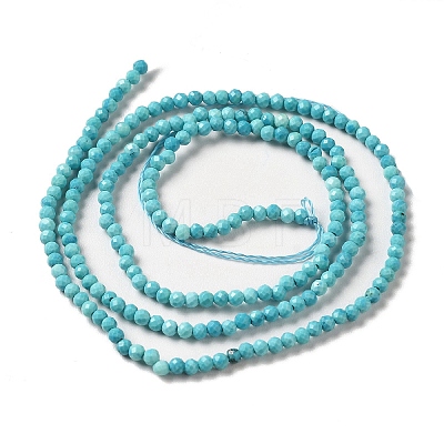 Natural Howlite Beads Strands G-C025-02A-01-1