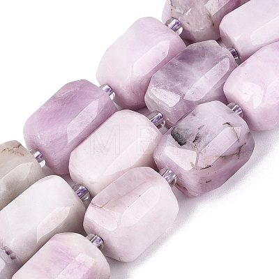 Natural Kunzite Beads Strands G-N362-07A-08-1