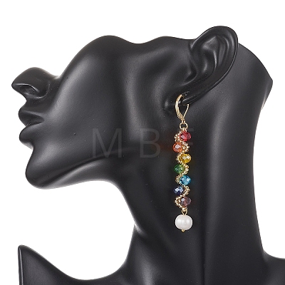 Round 304 Stainless Steel & Glass Seed Beads Dangle Leverback Earrings EJEW-MZ00717-1