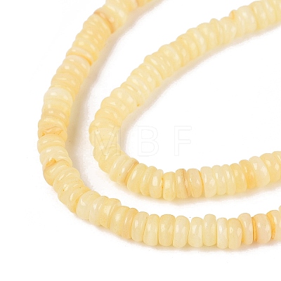 Natural Freshwater Shell Beads Strands SHEL-Q028-01B-1