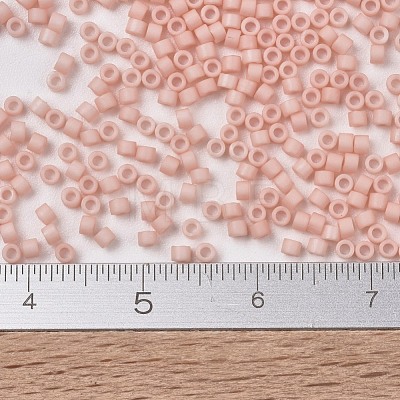 MIYUKI Delica Beads X-SEED-J020-DB1513-1