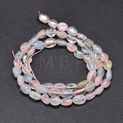 Natural Morganite Chip Beads Strands G-E271-130-1