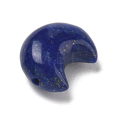 Natural Lapis Lazuli Beads G-T149-01E-1