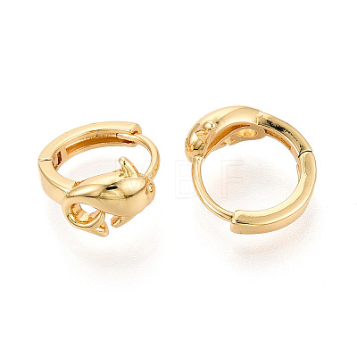 Brass Hoop Earrings EJEW-N063-05G-1