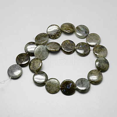 Natural Labradorite Beads Strands G-Q948-38-1