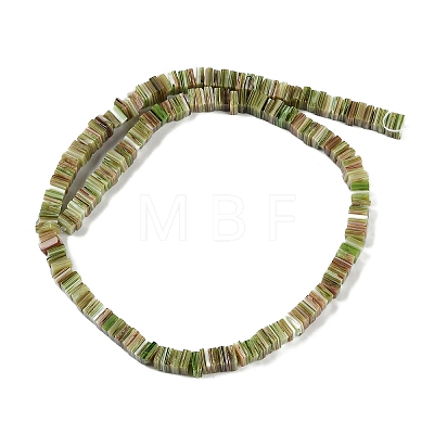 Handmade Lampwork Beads Strands LAMP-Q037-02B-15-1