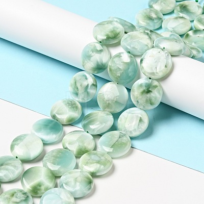 Natural Glass Beads Strands G-I247-33A-1