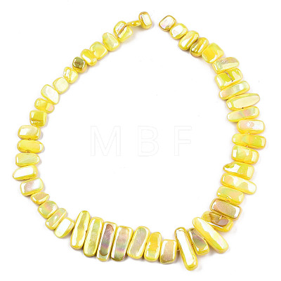 Natural Freshwater Shell Beads Strands X-SHEL-N026-123A-1