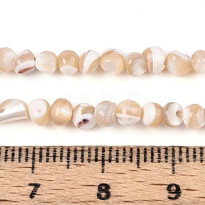 Natural Trochid Shell/Trochus Shell Beads Strands SSHEL-N040-10-1