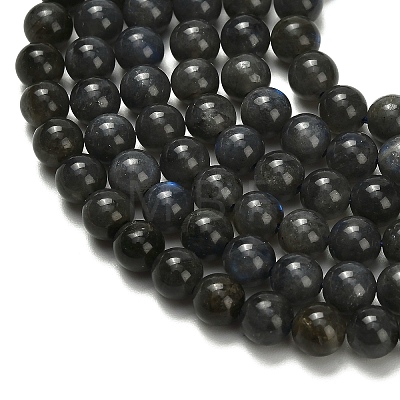 Natural Black Labradorite Beads Strands G-L642-B15-6mm-1