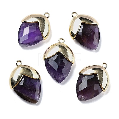 Natural Amethyst Pendants G-U019-03B-04-1