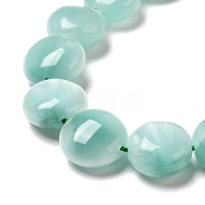 Natural Glass Beads Strands G-I247-28D-1